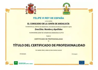 Título del Certificado de Profesionalidad